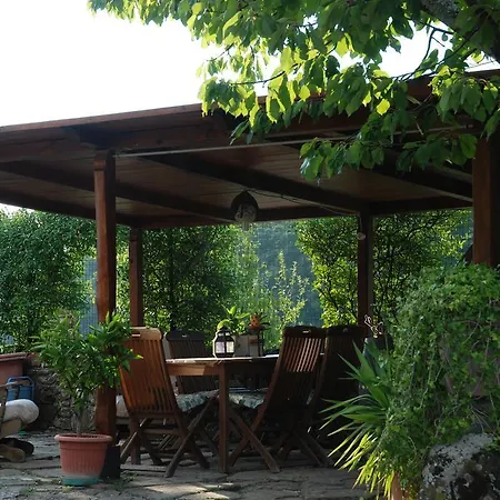Podere Le Buche Apartment